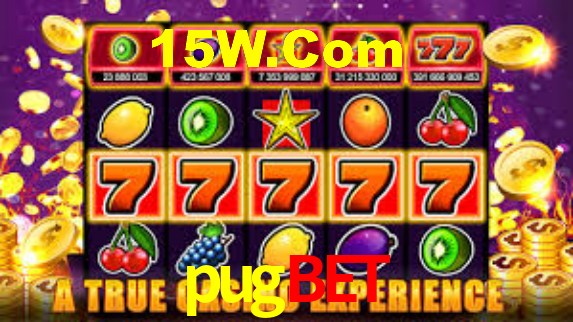 Premium Interface pugbet